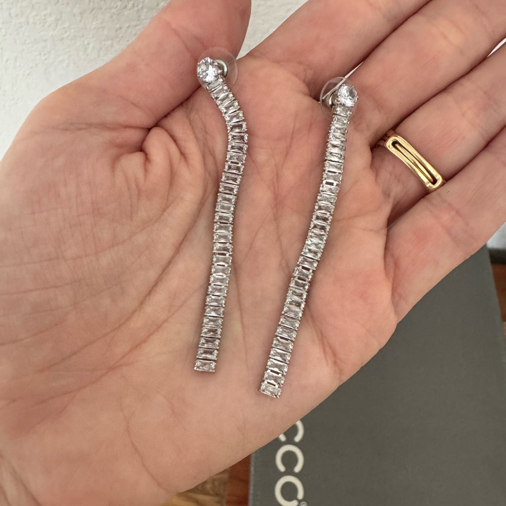 Elegant Silver Drop Earrings